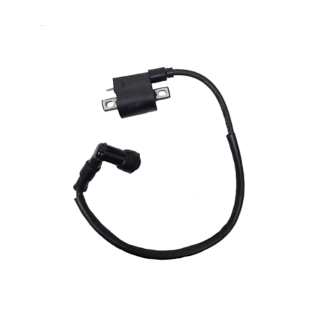Bobina de Ignição Externa Pro Tork - TR50F