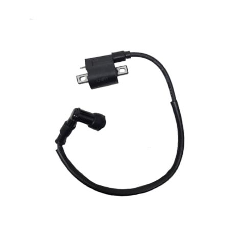 Bobina de Ignição Externa Pro Tork - TR50F