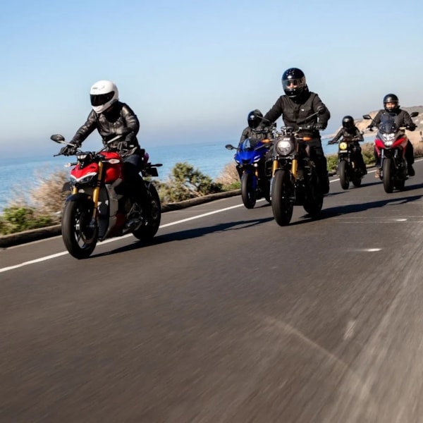 Product main image - 461c3a46-ad14-4d4d-bca3-fce730356016