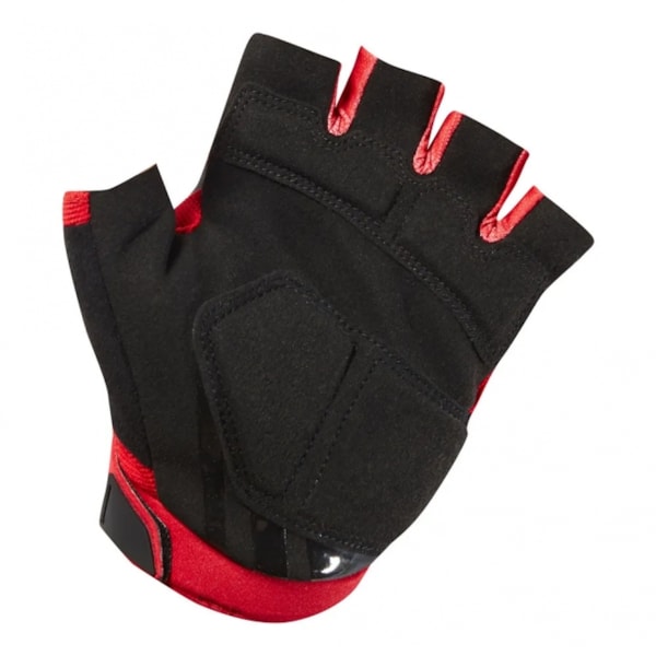 Product main image - 909fb819-2af0-4959-b035-35cea59879d2