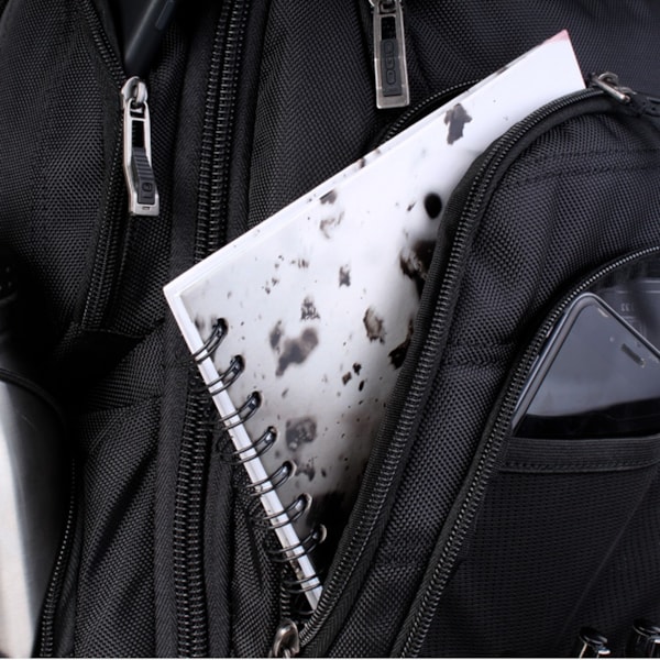 Product main image - 0f8f969c-291d-4813-b089-c2be31915253