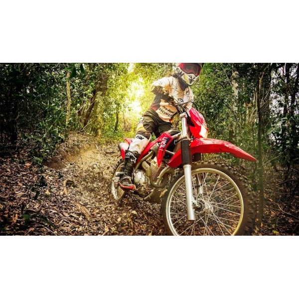 Product main image - b467636d-e8ec-4e7d-9841-bde3d63f65e9