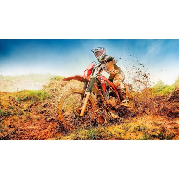 Product main image - e7eb29fb-7906-4f54-aa7f-788bc000a9c4