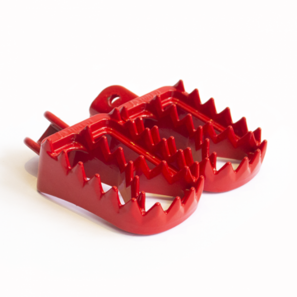 Product main image - 57f528fb-ef74-45de-838a-179beab18d89