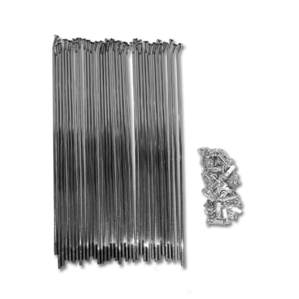 Product main image - d6d4bc47-2a8e-49a4-9f31-8a1264922684