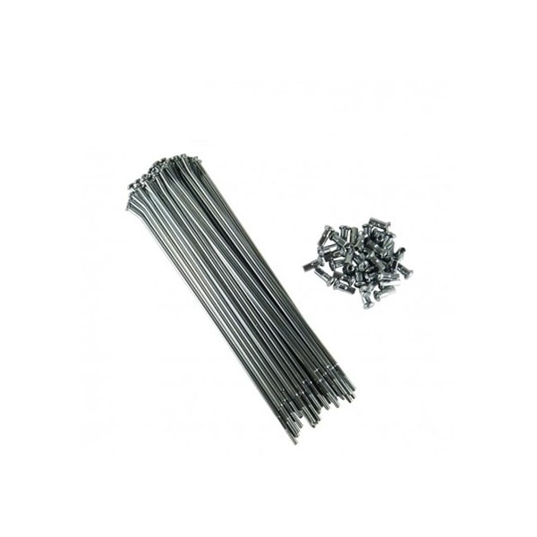 Product main image - 589523f1-d7ea-4aa4-a856-a7b405d024e3