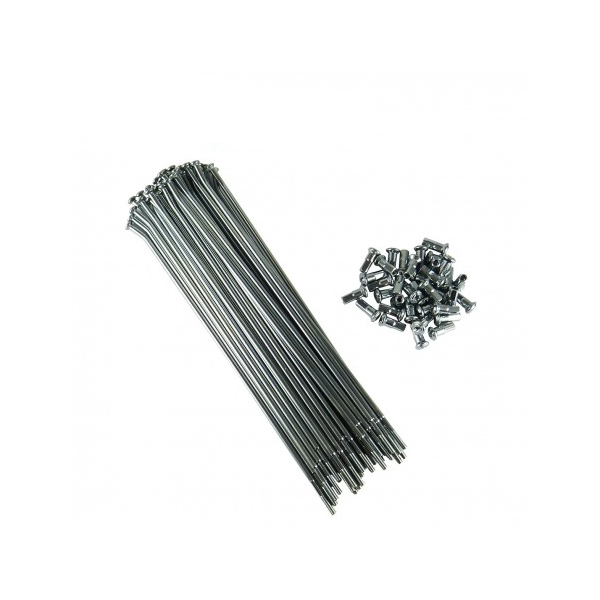 Product main image - 38401d6f-10a8-4c9a-95ae-f8d032eece7e