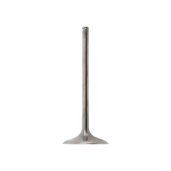 Product main image - 3751b06c-c047-4dc9-8880-3782a19aaf8e